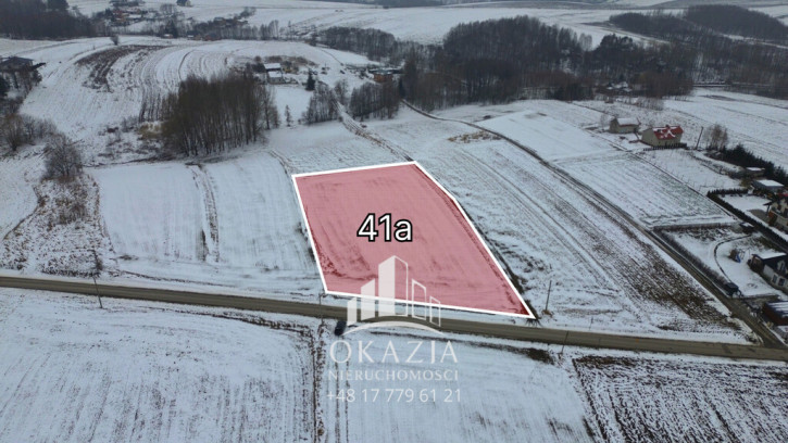 Działka Sprzedaż Niechobrz 2