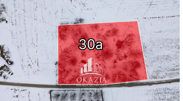 Działka Sprzedaż Zarzecze 1