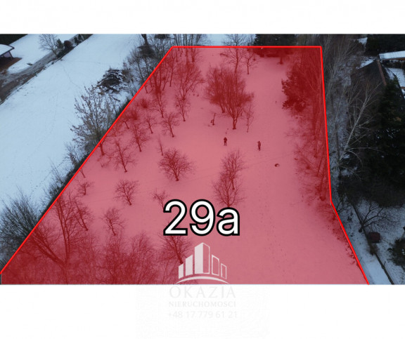 Działka Sprzedaż Zarzecze 1