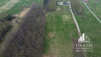Działka Sprzedaż Kolbuszowa